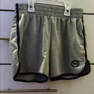 The Black Dog Gray Athletic/Sleep/Casual Shorts